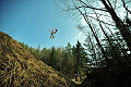 Radek Bilek The Park 22 03 2012